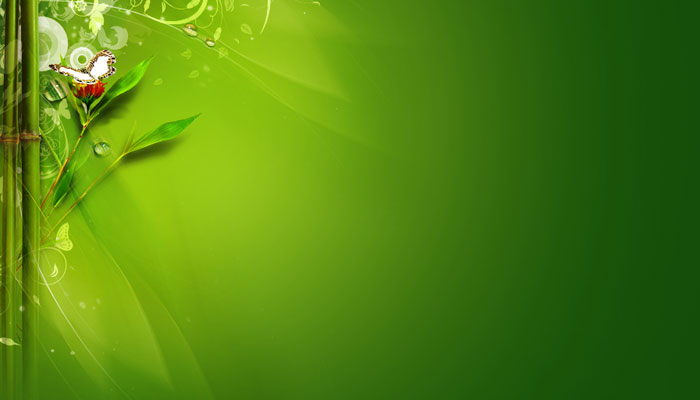 Green Morning Twitter Background