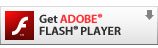 Download Adobe Flash Player