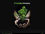 Agriculture Company Flash Site