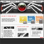 Spider web flash template