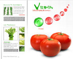 Vegetables flash template