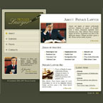 Private lawyer flash template