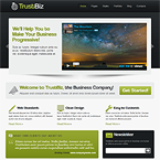 TrustBiz wordpress theme