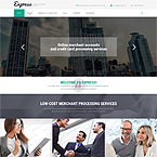 Express Credit Template