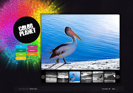 Color Planet FlashMoto CMS template
