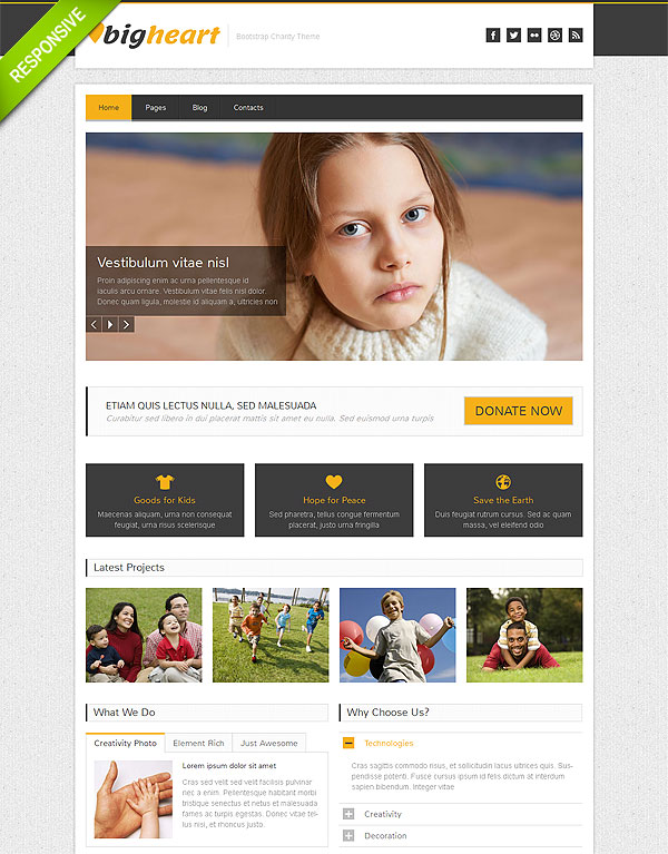 Kids Charity Wordpress Theme