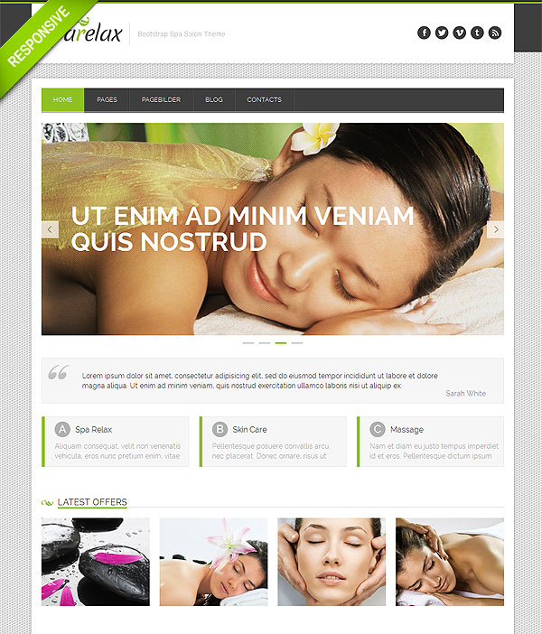 Spa Salon Responsive Wordpress Theme