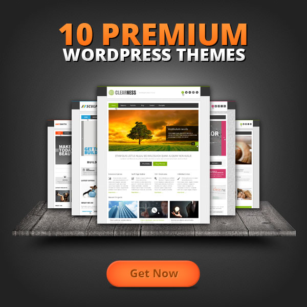 10 Premium Wordpress Themes Deal