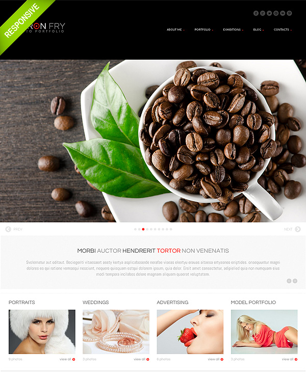 Gallery Photographer Wordpress Theme