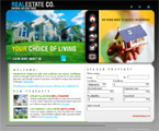 Choice of living flash template