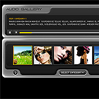 Advanced audio gallery flash component