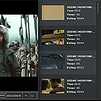 Video player flash component