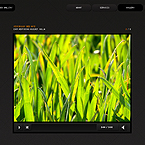 So simple video gallery FlashMoto CMS template
