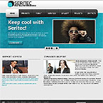 Seritec clean style business Flash CMS