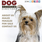 Dog breeders facebook template flash