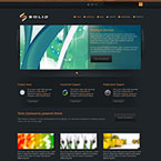 Solid Corporate Wordpress Theme