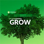 Green Business Flash Site