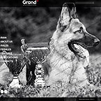 Dogs Web Template