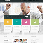 Leader Finance Site Template