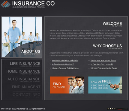 Insurance flash template