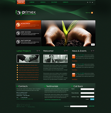 Reliable business CMS flash template