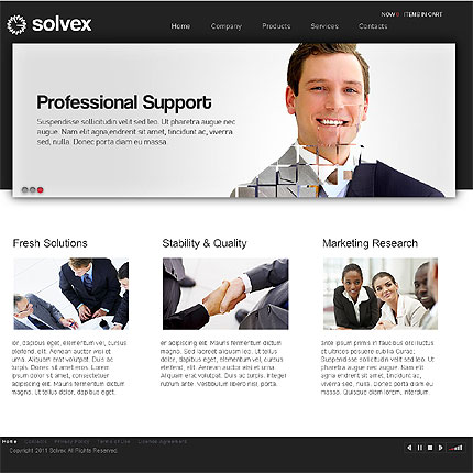 Powerful business flash CMS template