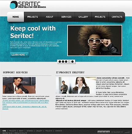Seritec clean style business Flash CMS