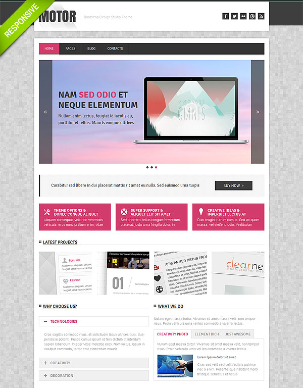 Web Design Responsive Wordpress Theme